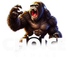 Online Choice